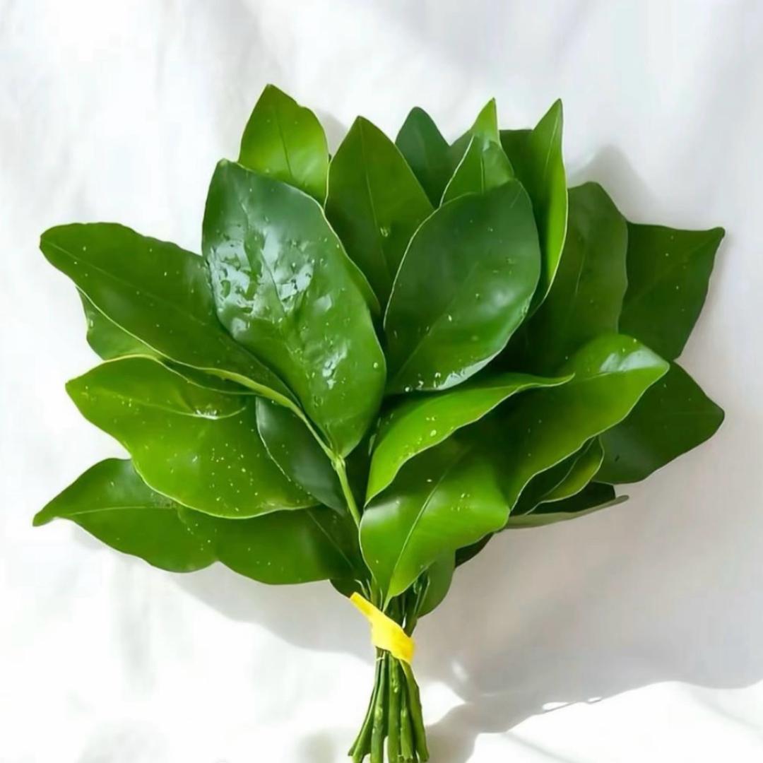 乌鲁木齐租房小冉