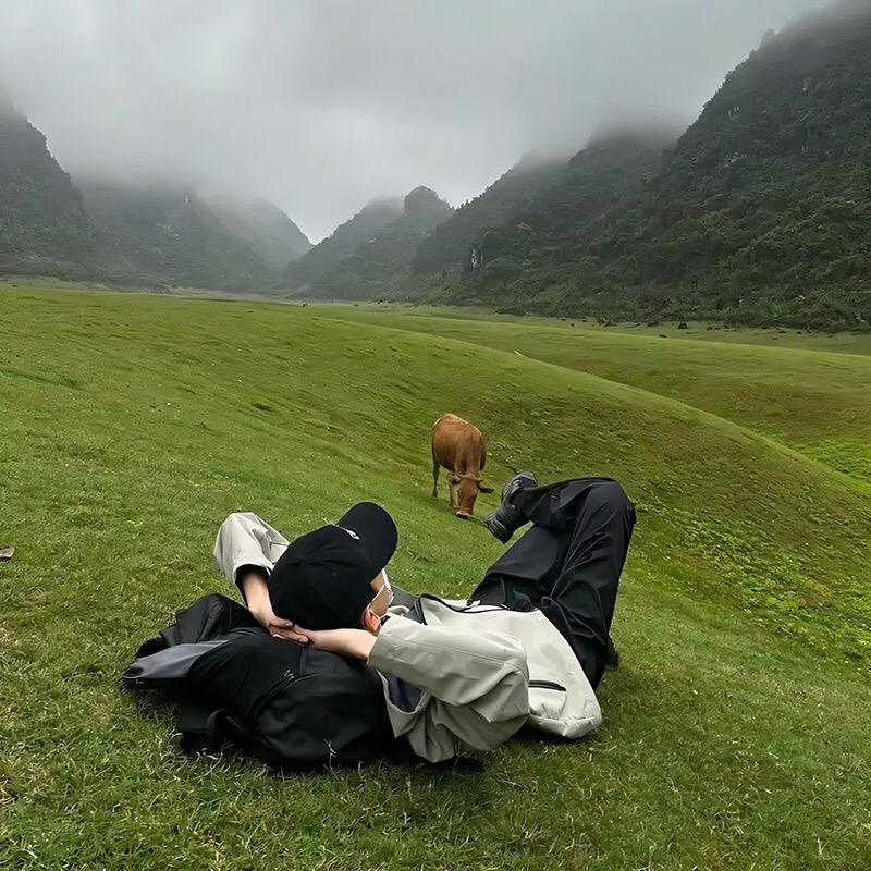 🍃绿叶