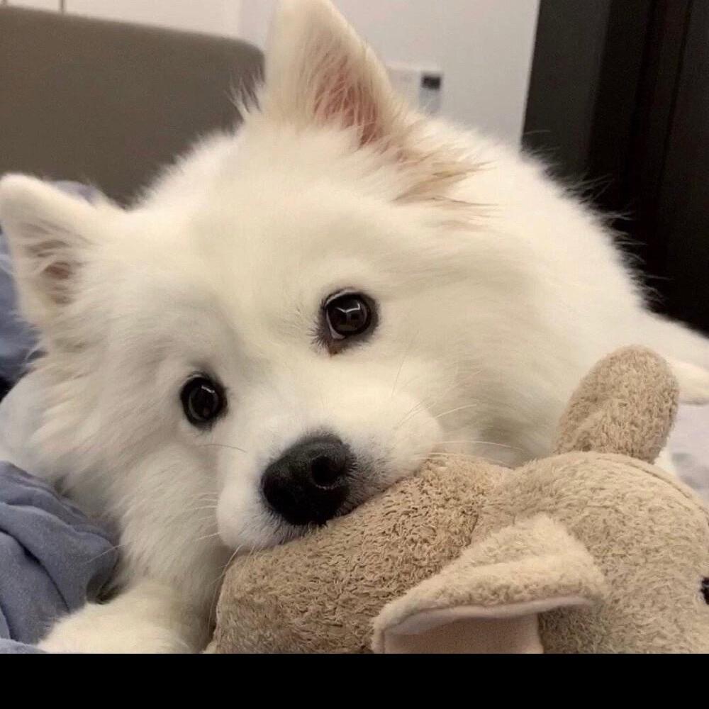 翌日