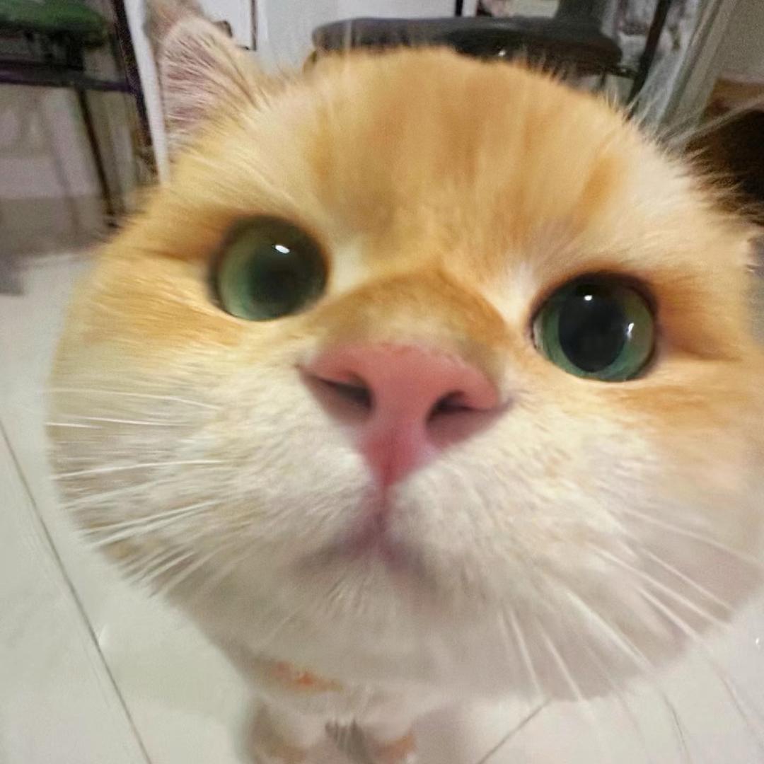 趣味人生