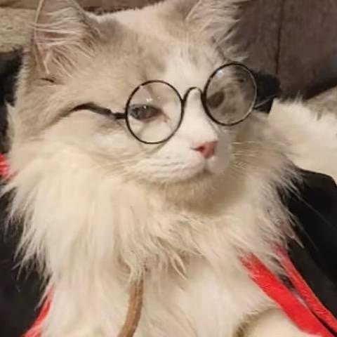 W L～