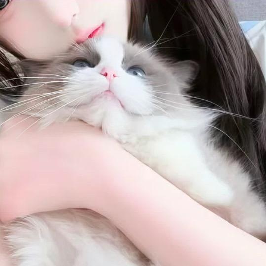 小龍.