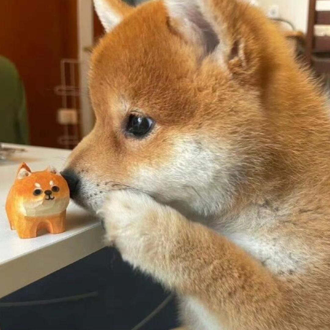 是小艾呀！