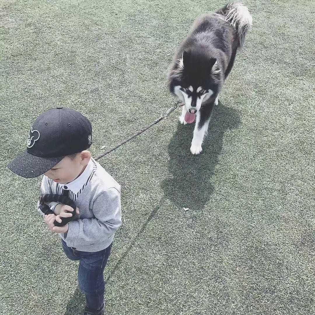 球球和张小丸