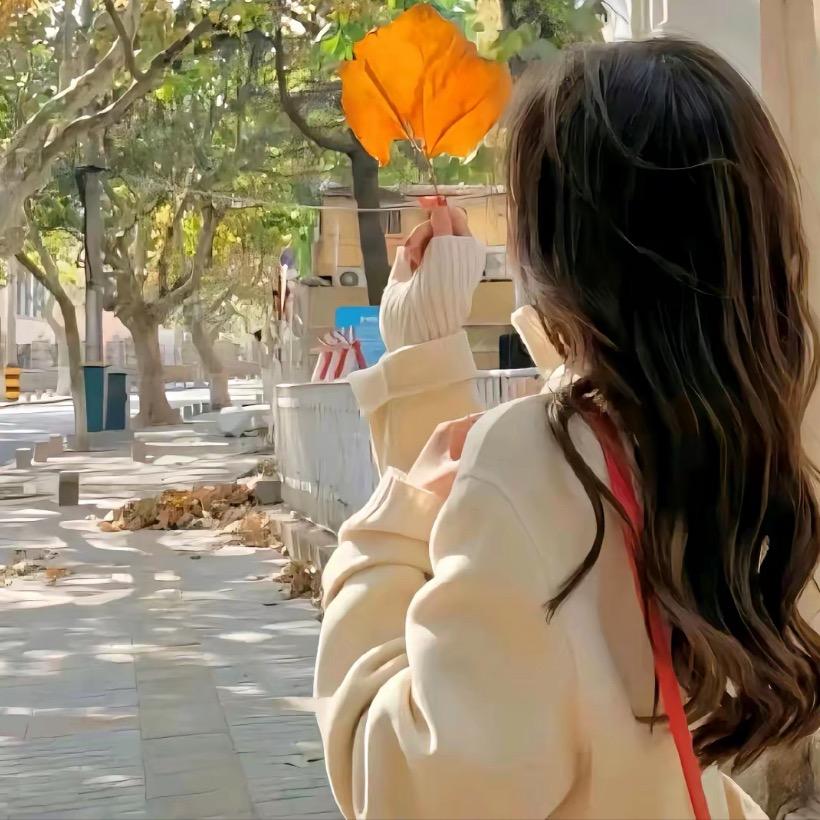 乐乐小铺👀