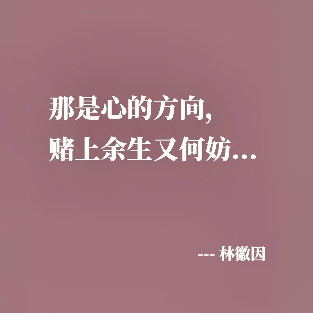 小灰灰服装厂