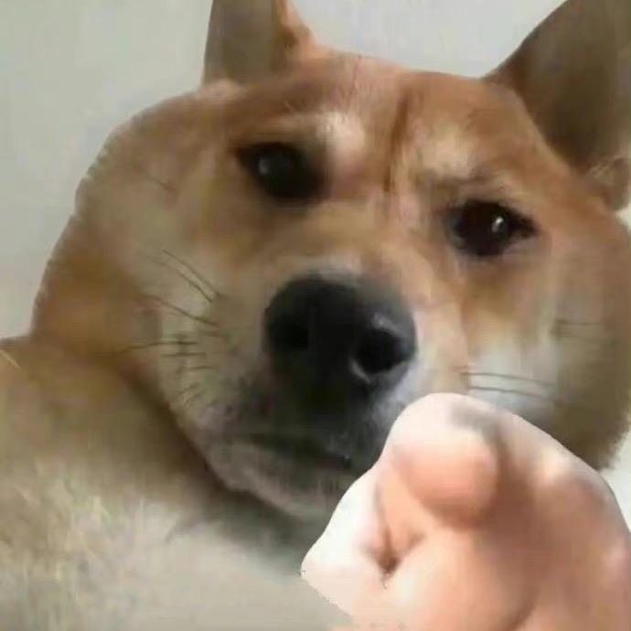 电子厂在逃螺丝