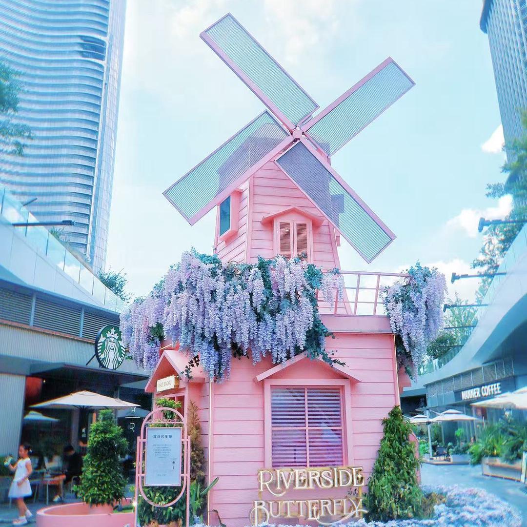 心随💕花开🌺