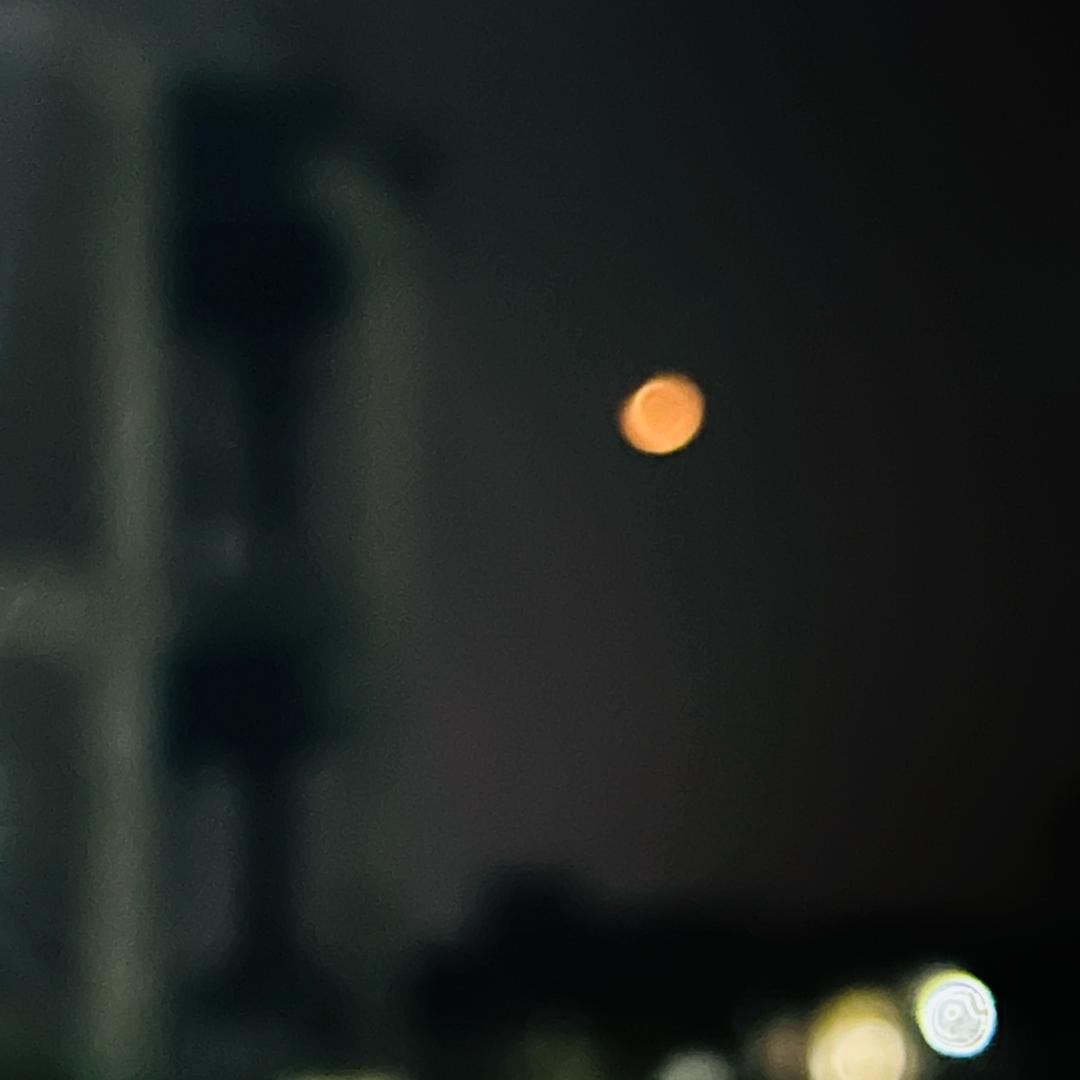 生煎包💥