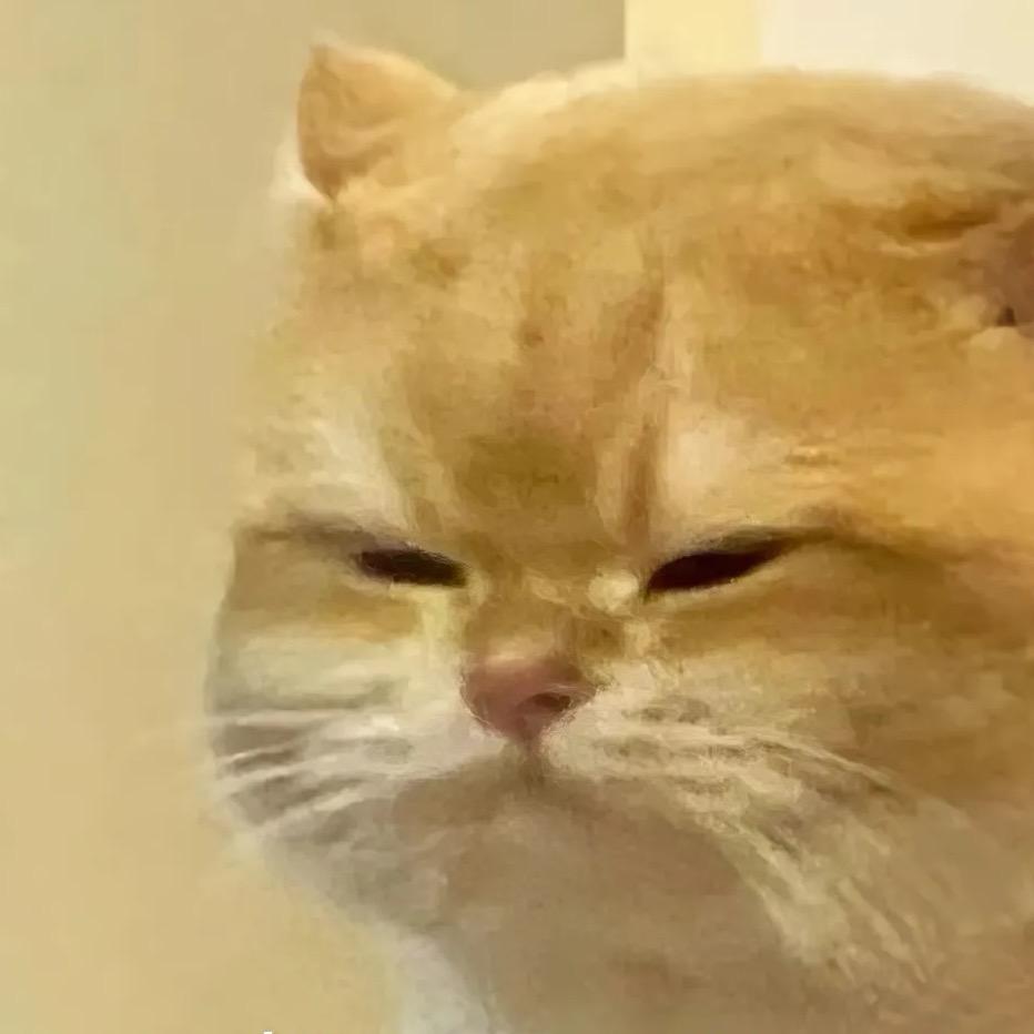 大喵