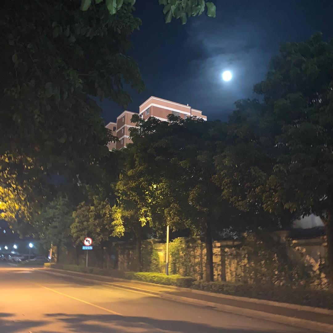 太上忘情