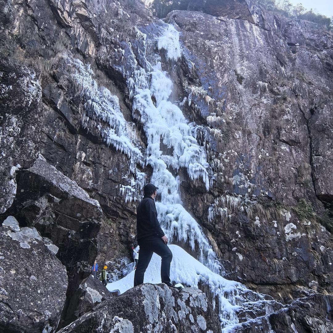 就是星星那个星