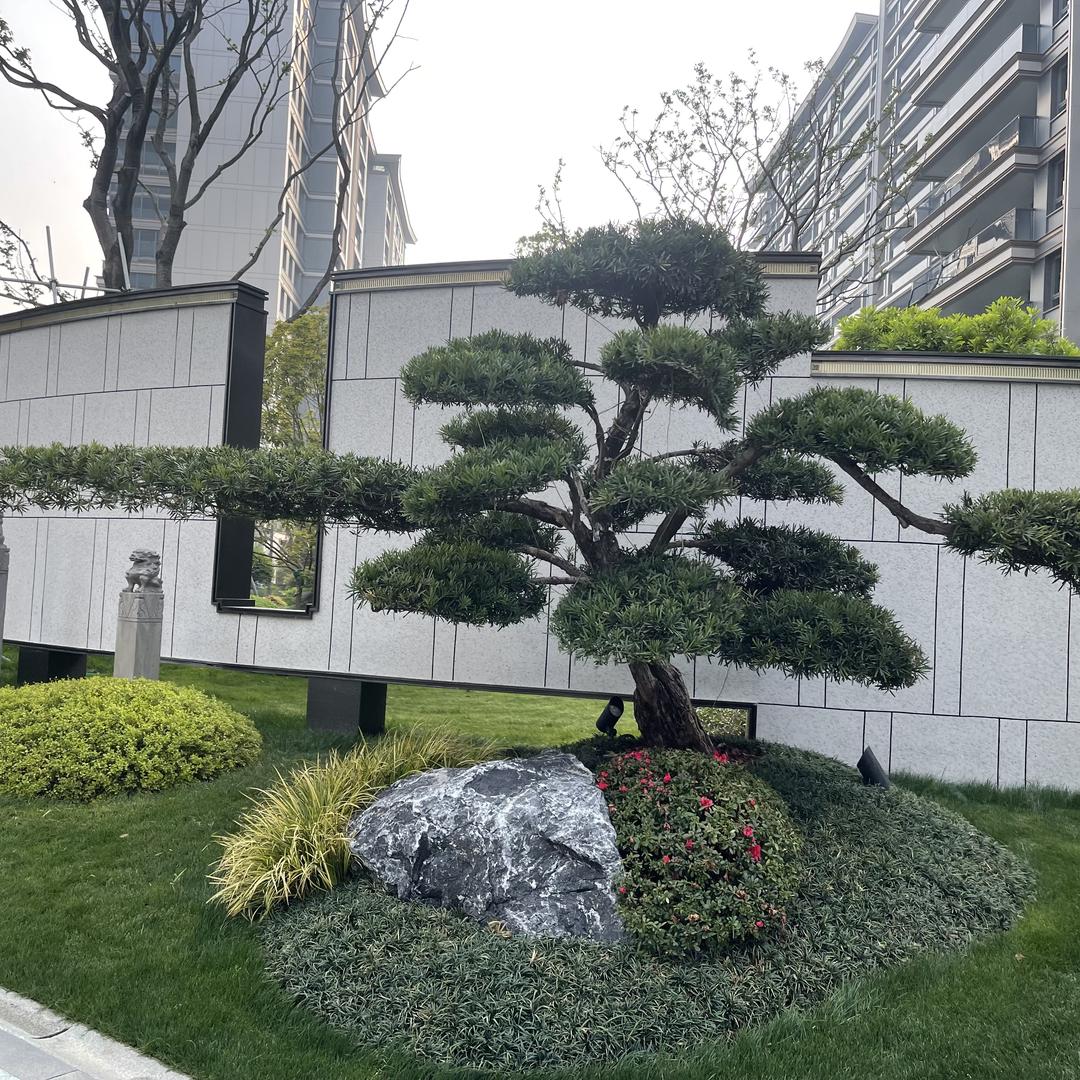 阿尔法智能锁