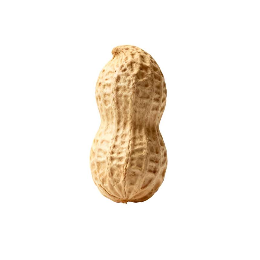 阁