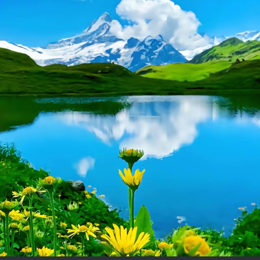 💕ꦿ҉删除ᨶ႒过王ᩚᥫᩣ໌້ᮨ