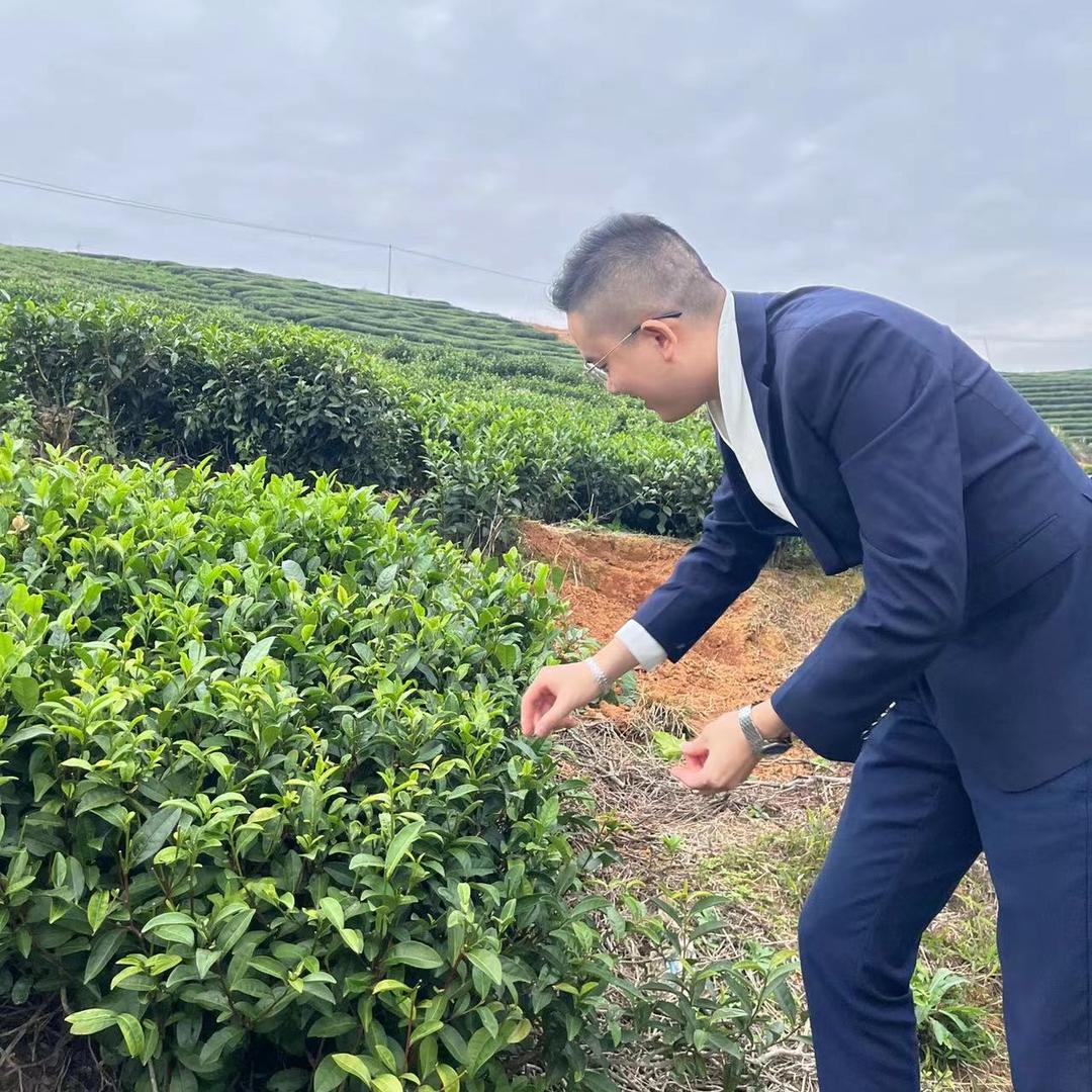 鸿运心霞浦御香源茶叶有限公司茶叶专卖店