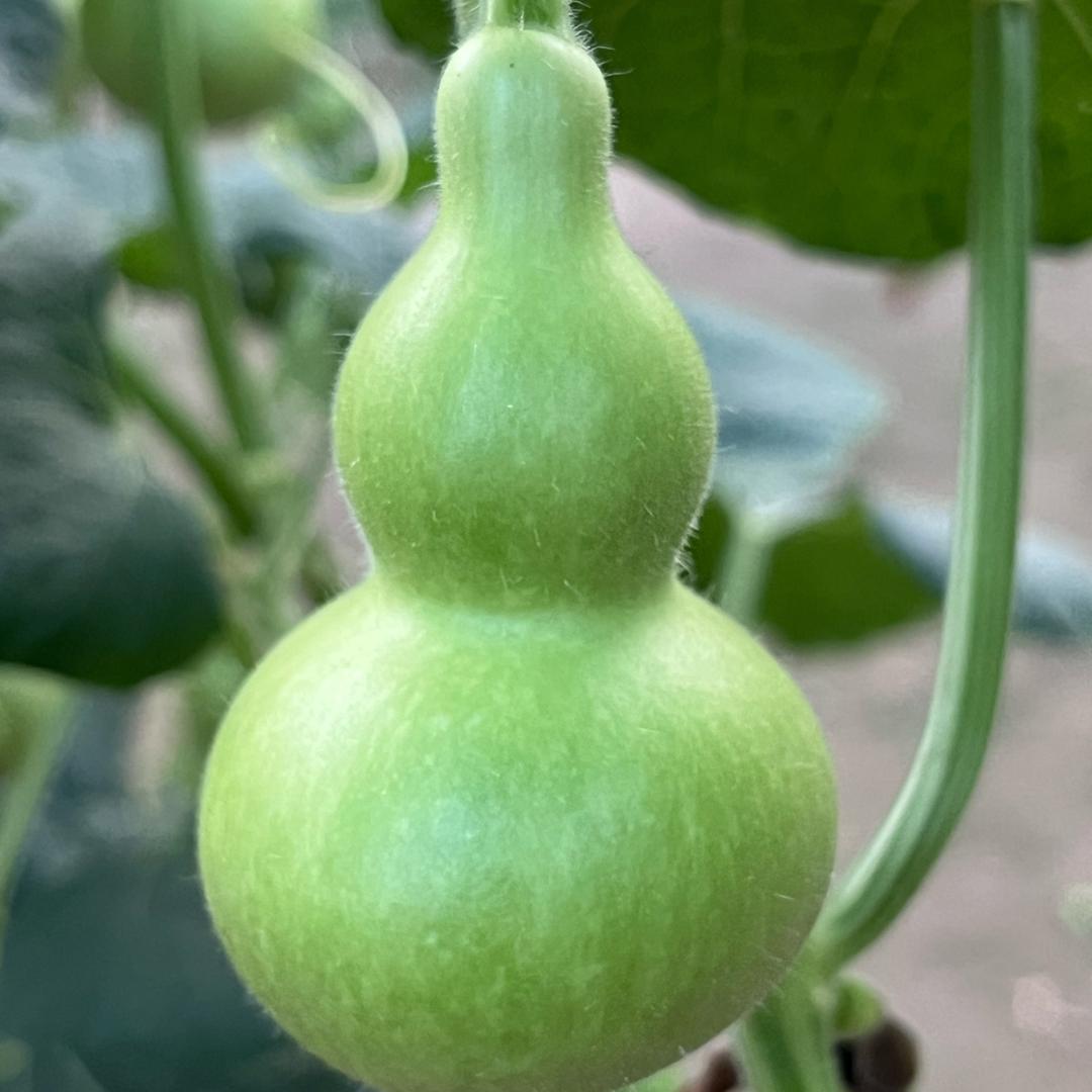 汇美创意商品严选