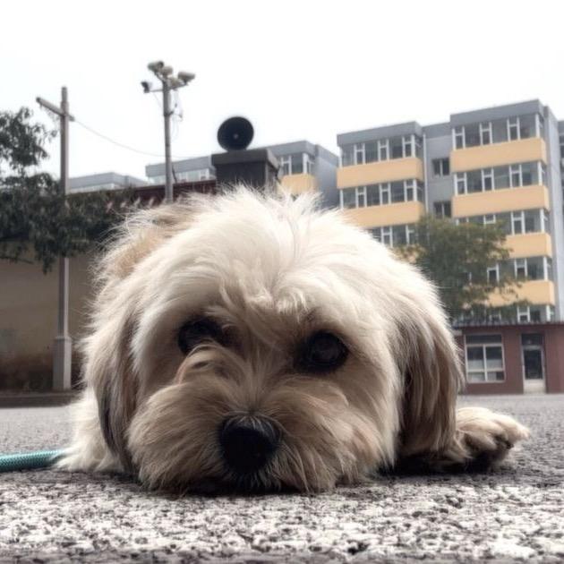 敏