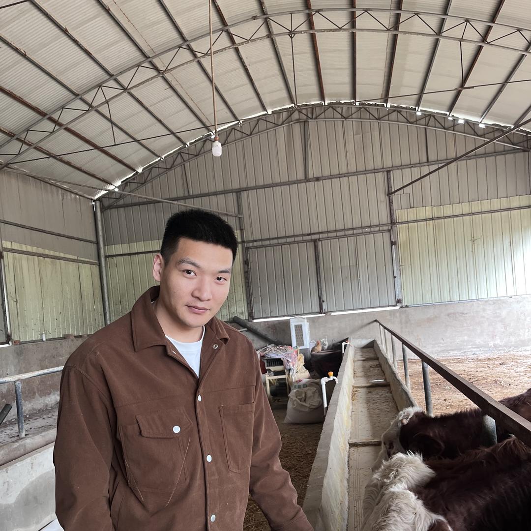 文记清真黄牛肉