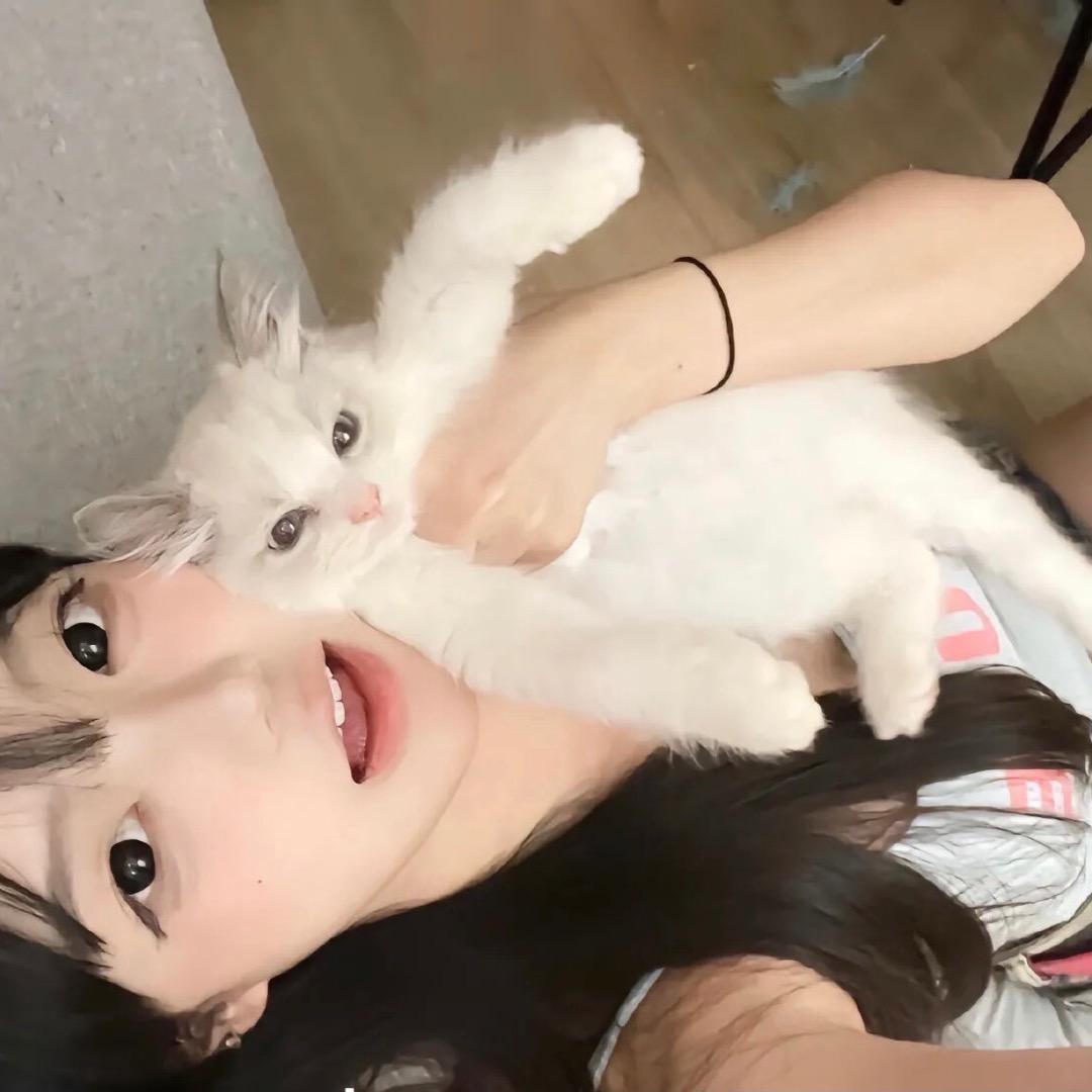 小猫.