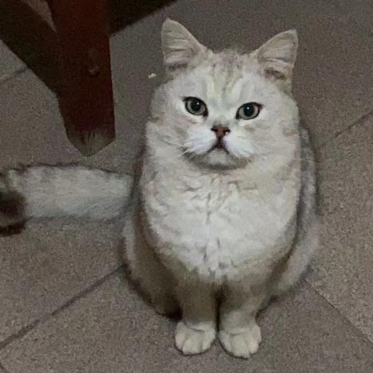 饲养员
