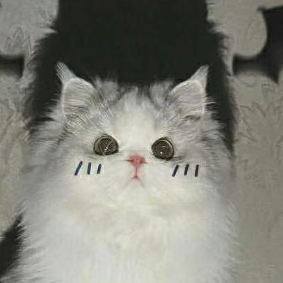 林肆许许许许许