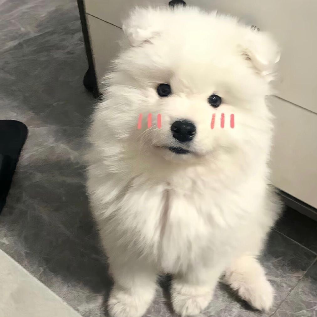 小v.