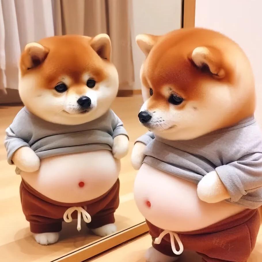 俊哥