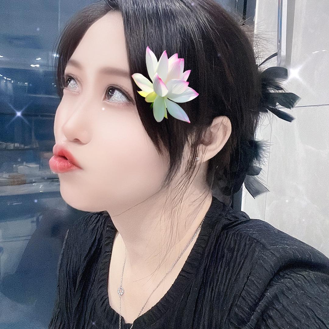 会飞的小虫子
