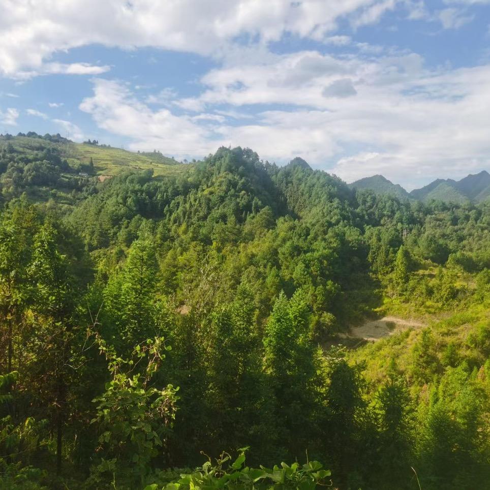 明明爱旅行