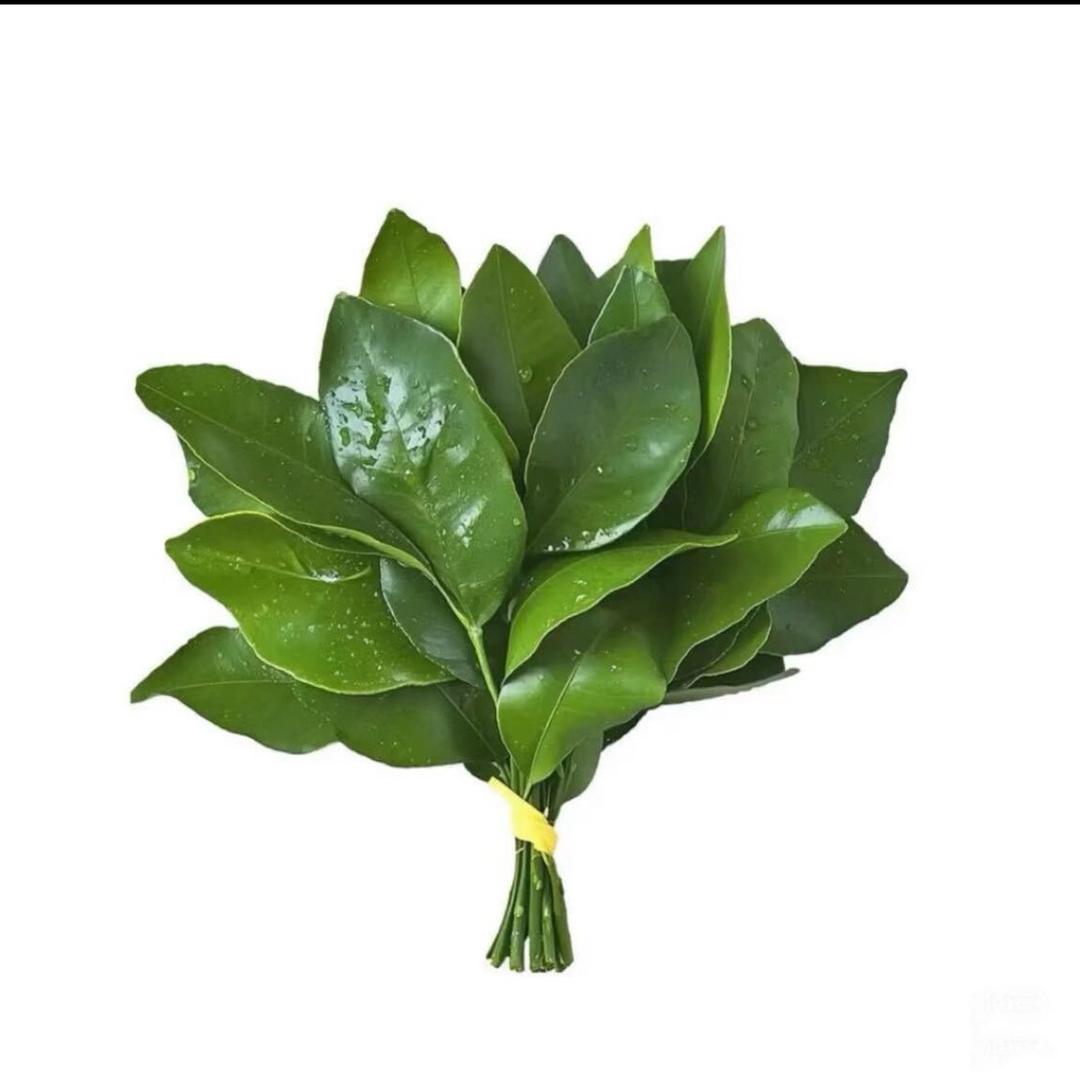 七🍀