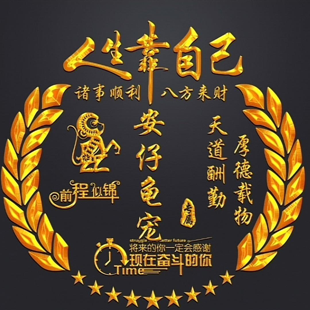 安仔龟宠