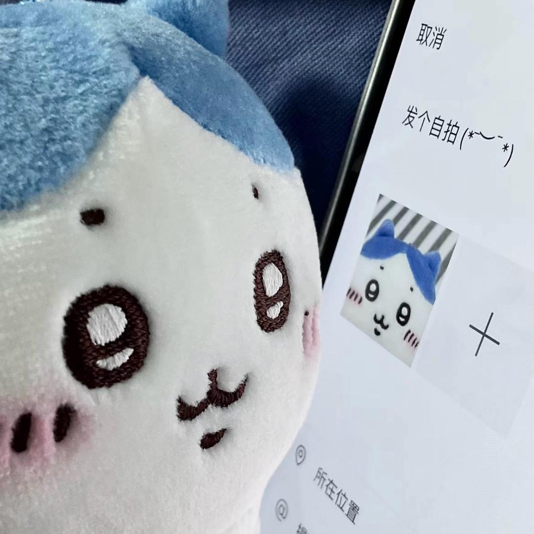 绝圆体