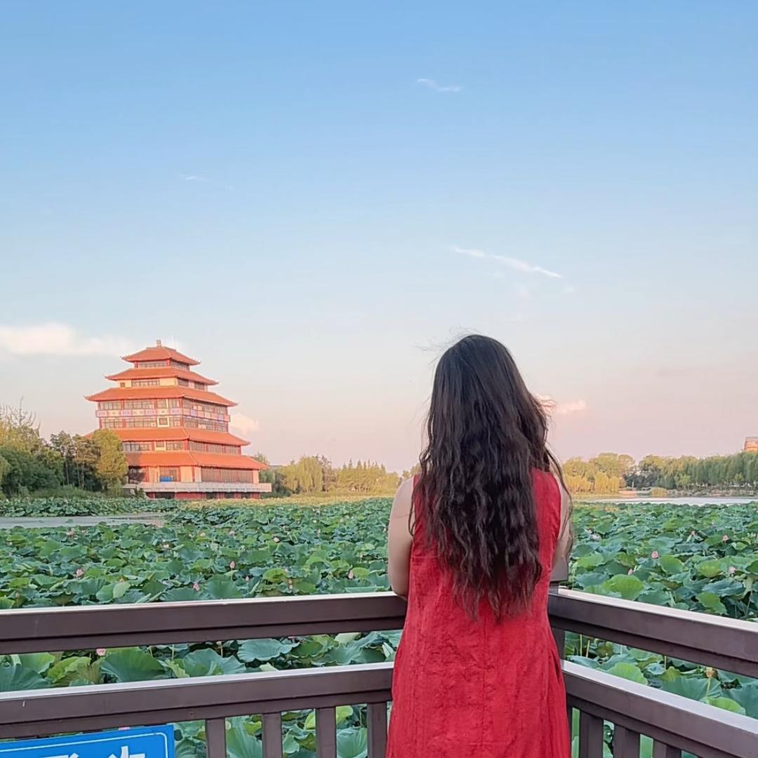 忘忧草🌿