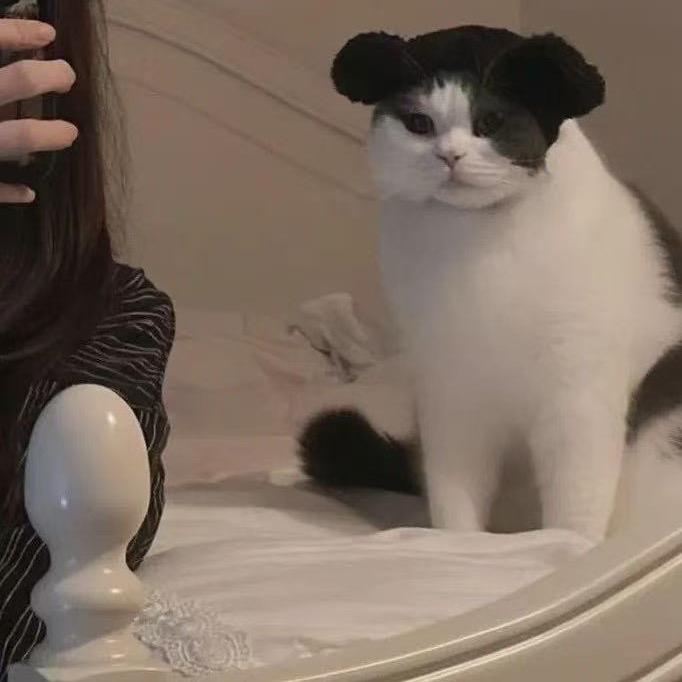 小贤仔♬