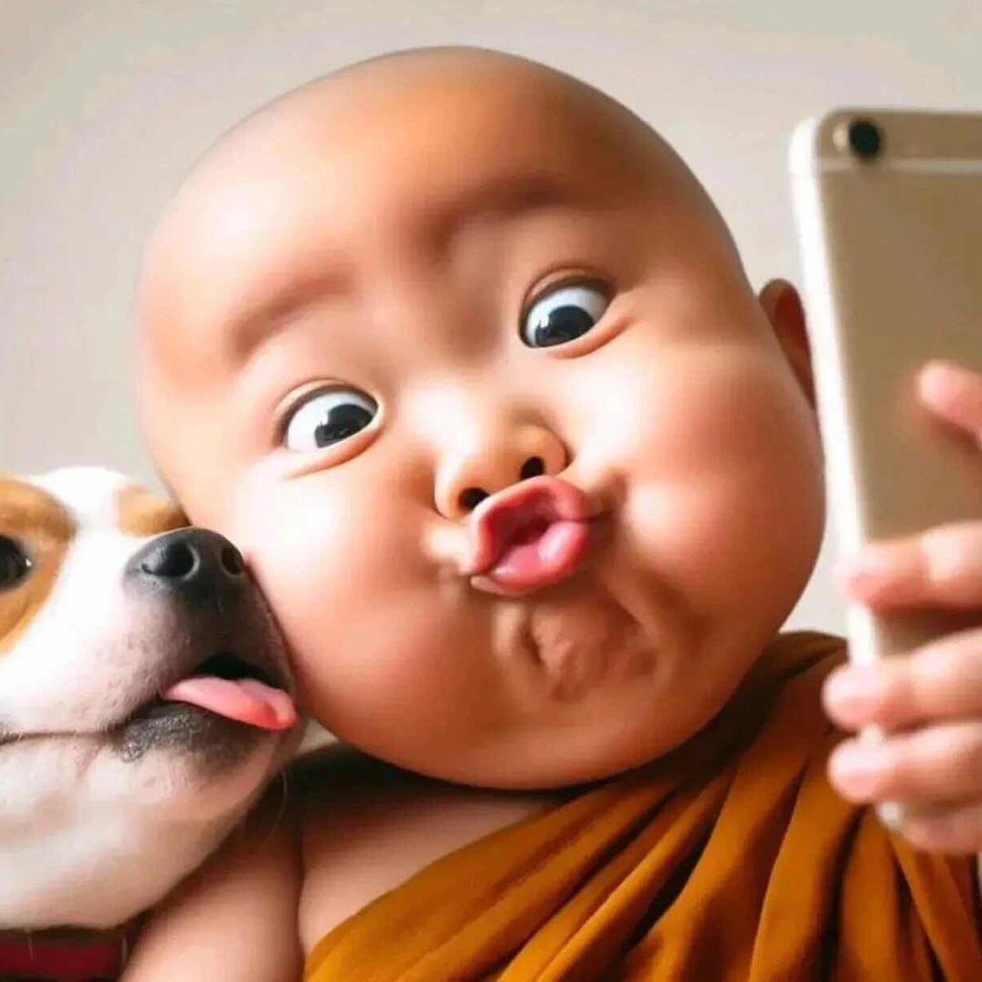 开心薅美的羊毛