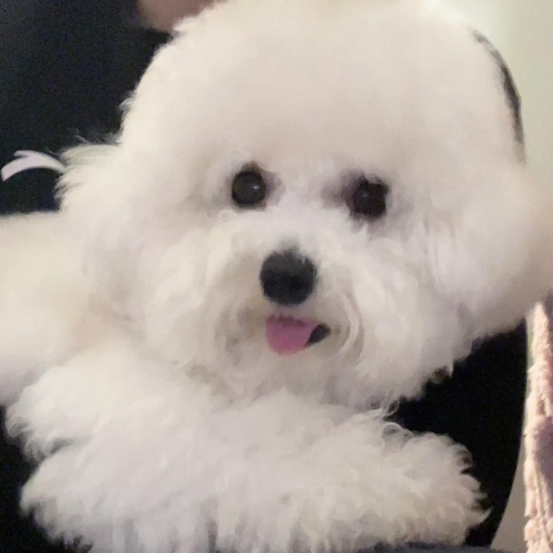 小奶豆儿