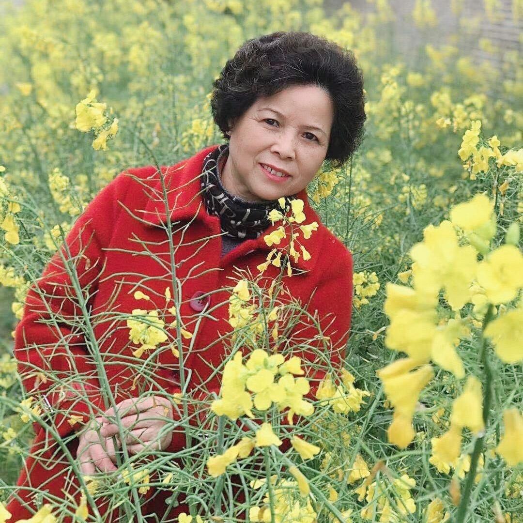 用户7327337211289菊花