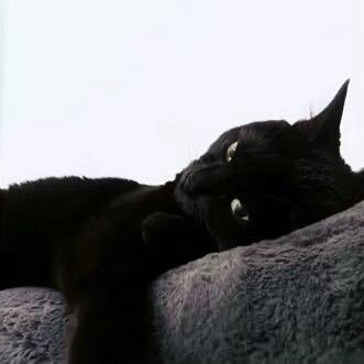 渡ㅤㅤㅤㅤㅤㅤ