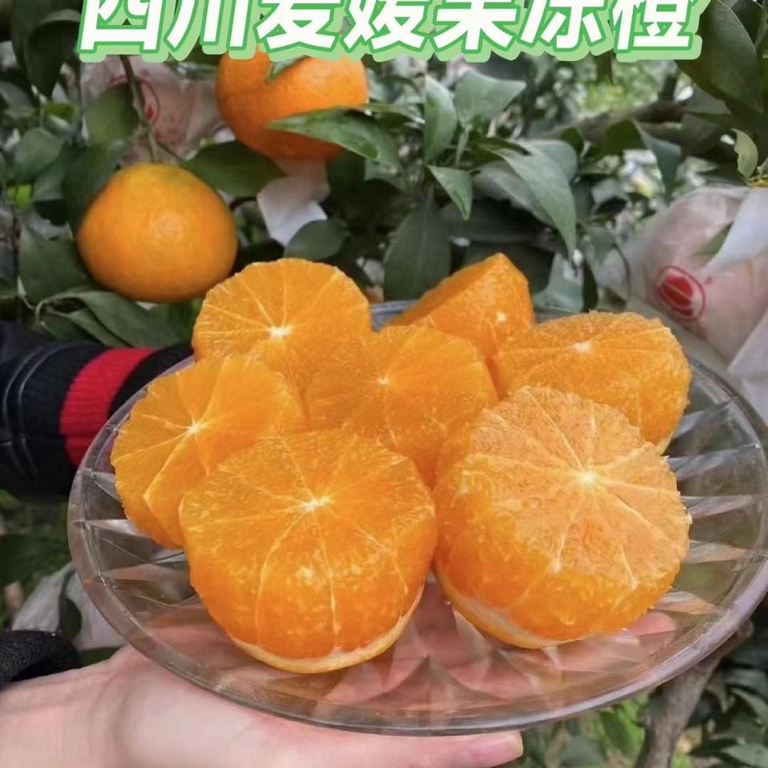 壹壹