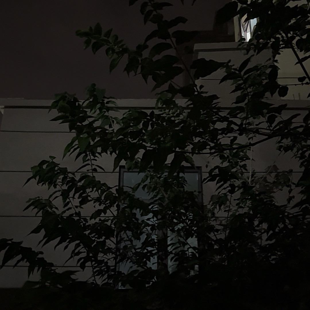 大鱼e