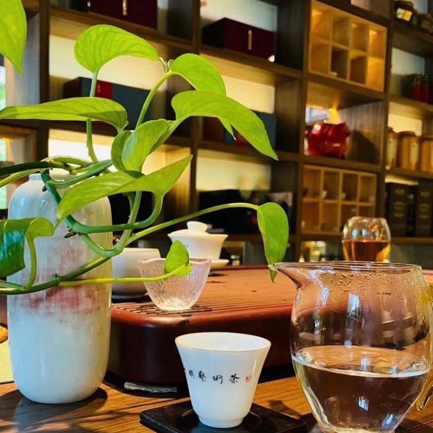 茶典茶行
