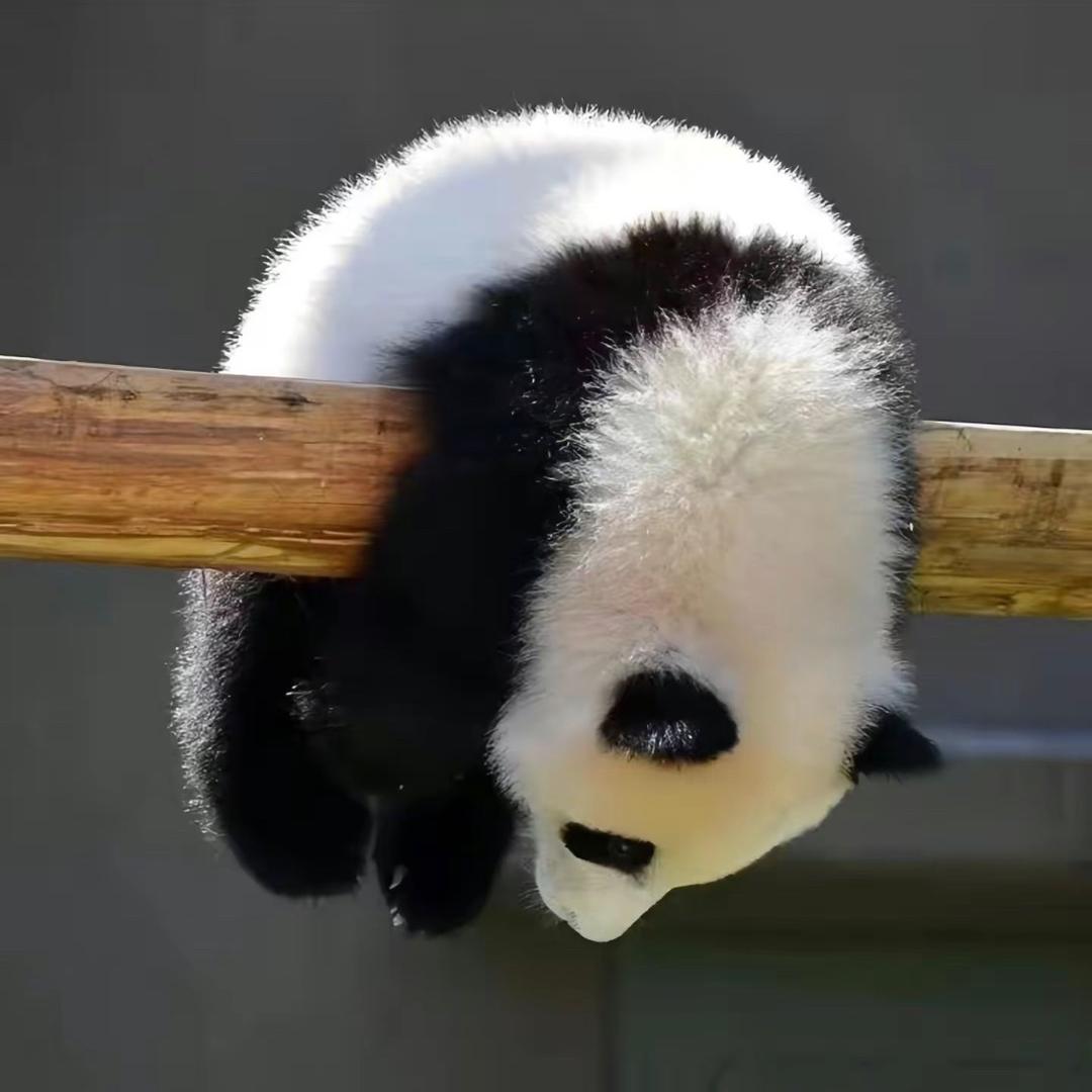 玉田147台球俱乐部