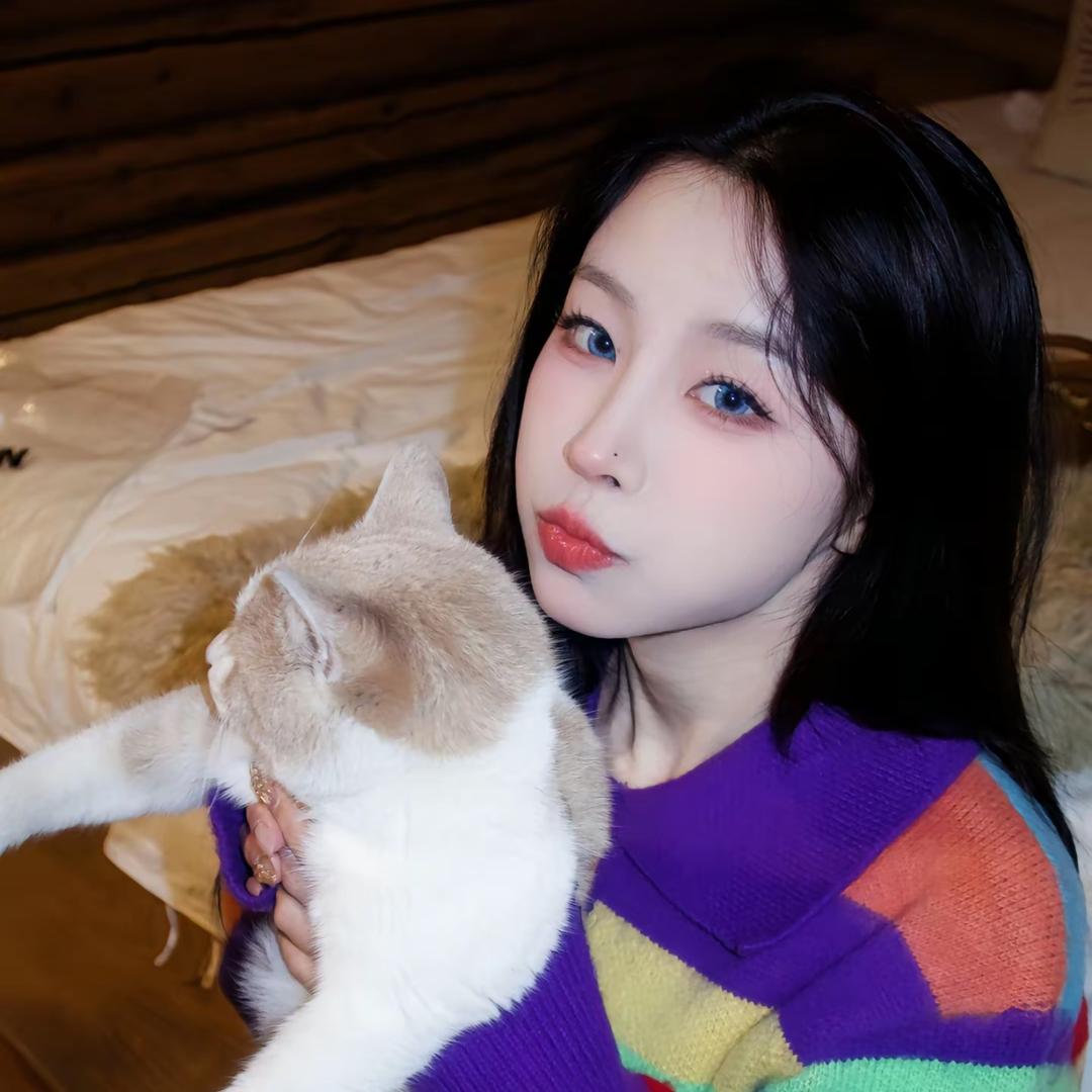 歪歪（肖肖推荐好物）