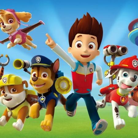 宝哥玩具车（特价）