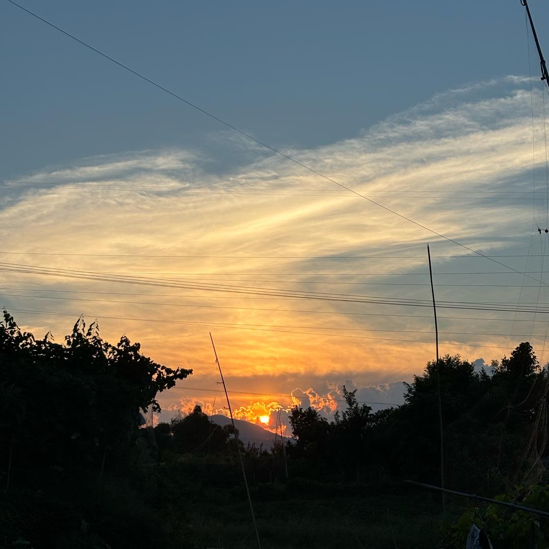 翠屏超甜葡萄园