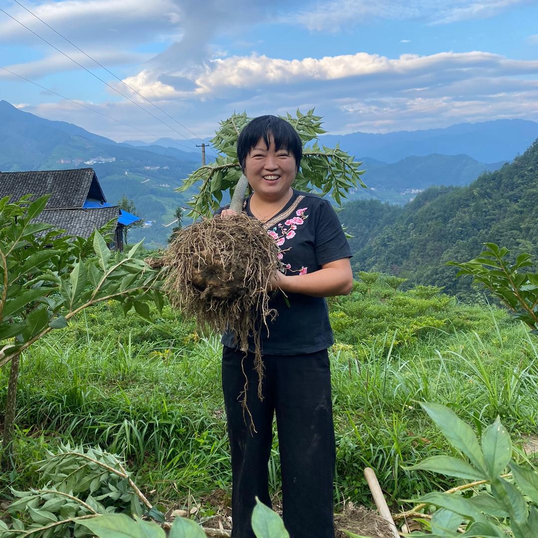 阿连湘味助农