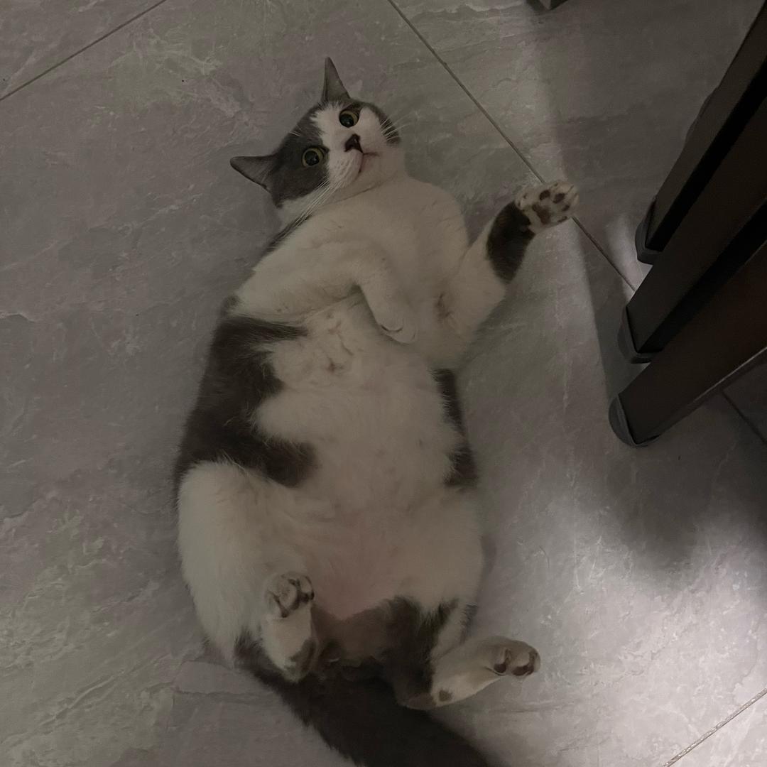 余樂_