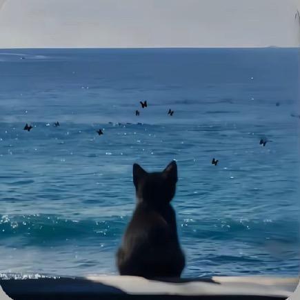 夏日萝🎁直刷装扮👗