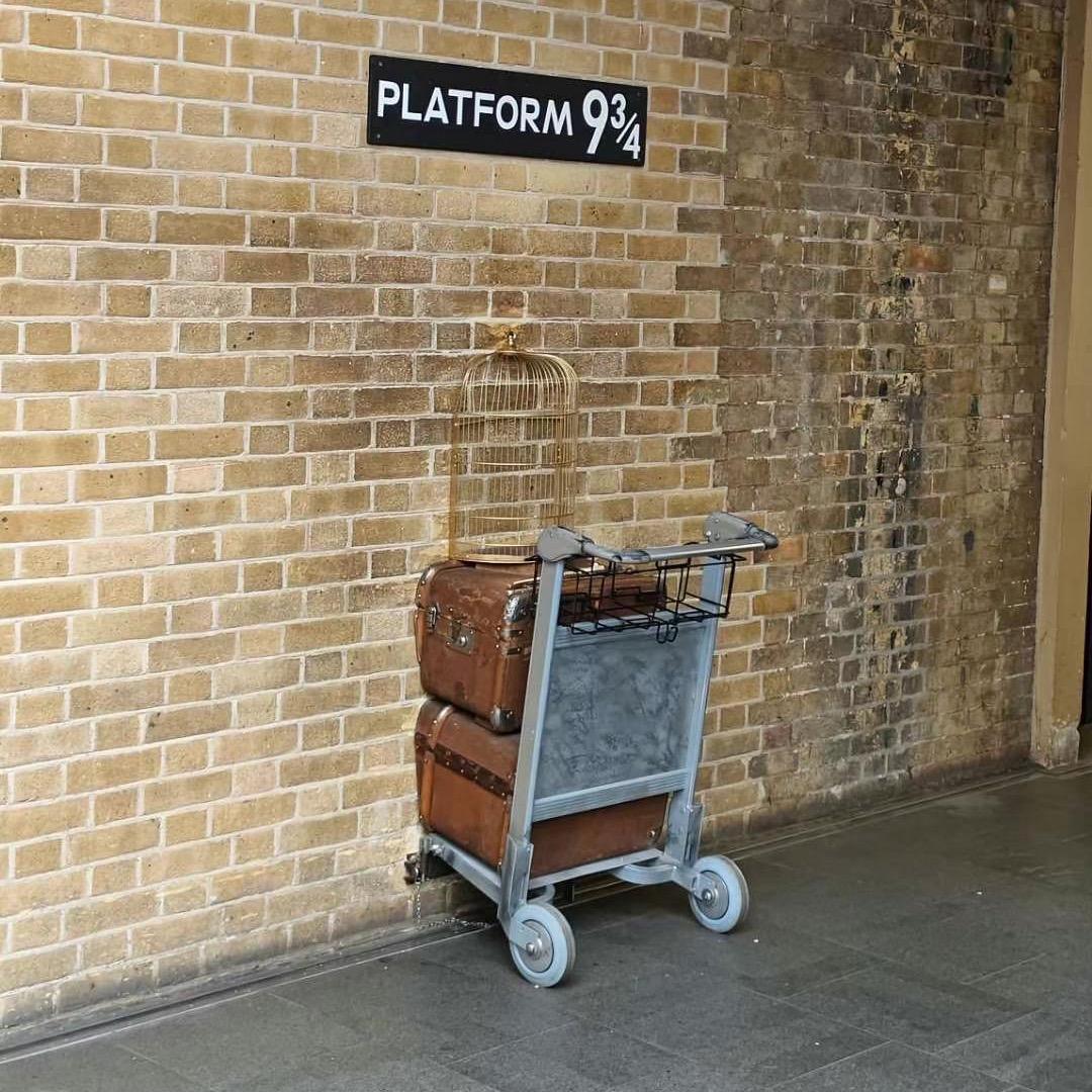 @不喝茶不旅行的康先生༃